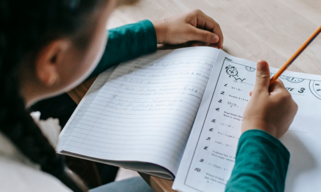 Impacts of Neonatal Stroke on Neurocognitive Development